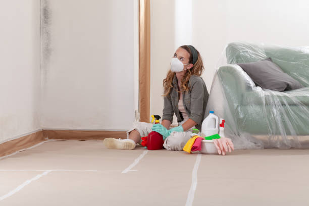Reliable Mold Testing contractor in Oreland, PA by WQB Mold Removal